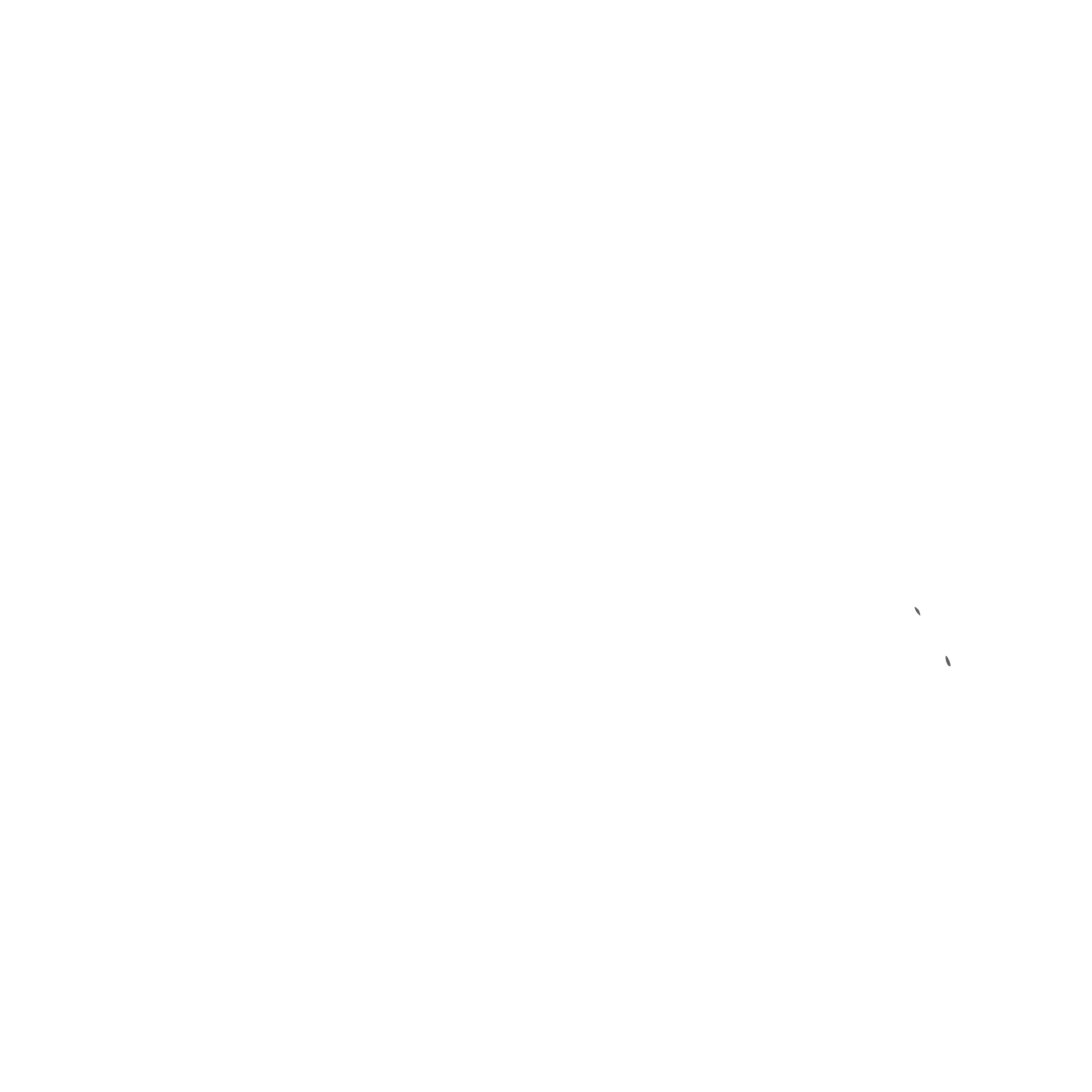 PASCOLO