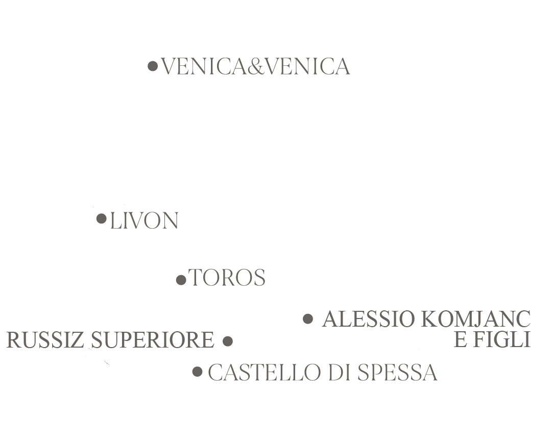 Immagini-per-il-sito2_Tavola-disegno-1-copia-15